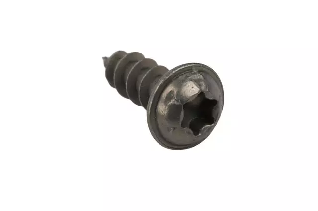 11900491 - : M4x1.8x12 Multi-Purpose Bolt for GM Image