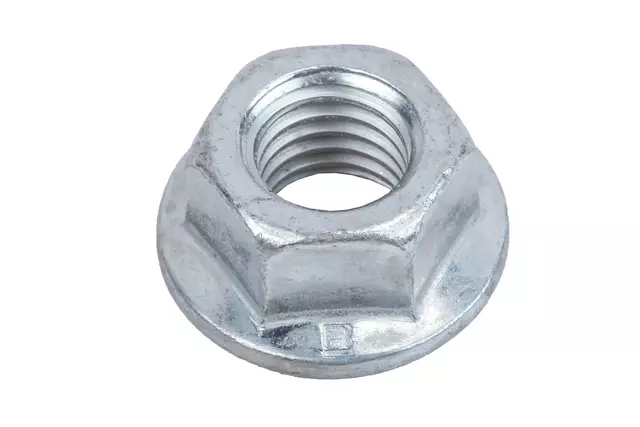 19404779 - : F (S)Nut for GM Image