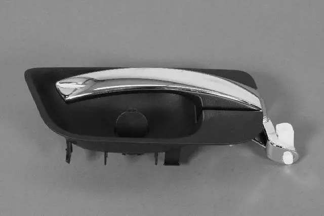 1AF101P1AA - Body: Handle Bezel for Chrysler: 300 | Dodge: Magnum Image