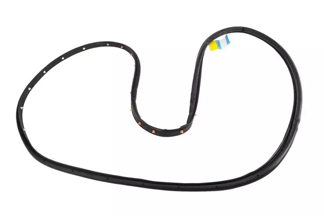 13259941 - : Part# 13259941 Driver Side Front Door Weatherstrip for Buick: Verano Image