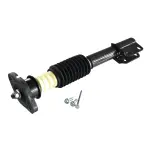 810116 - : Suspension Strut and Coil Spring Assembly for GSP Image