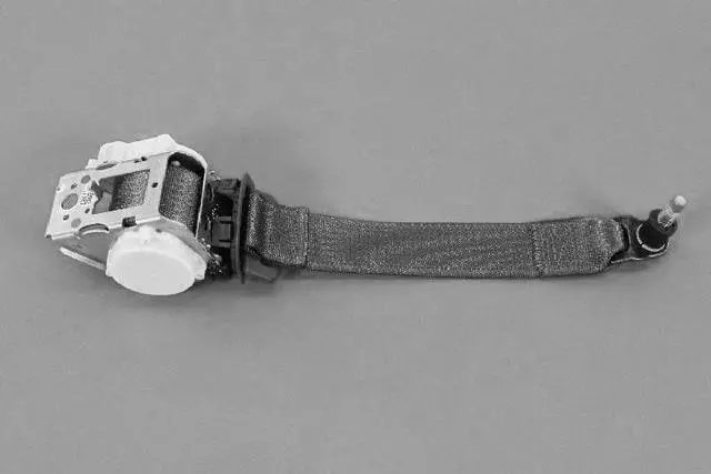 1SV69LA8AC - Electrical: Outer Belt Assembly for Dodge: Dart Image