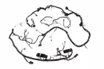 84765044 - : F Harness for GM Image