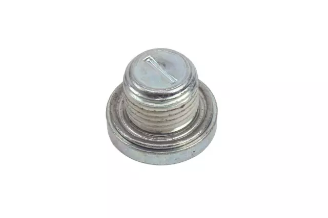 Water Pump Plug - GM (11588949)