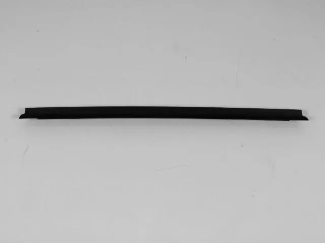 Rear Door Belt Weatherstrip, Right & Left - Mopar (55399050AB)