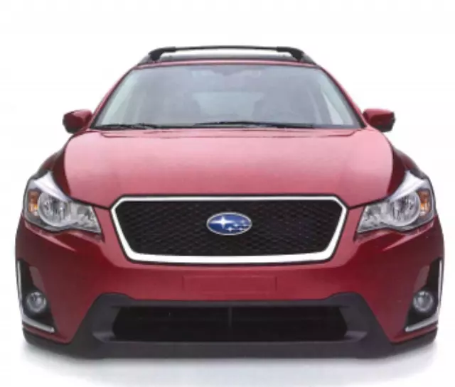 J1010FJ050 - : Sport Mesh Grille for Subaru Image
