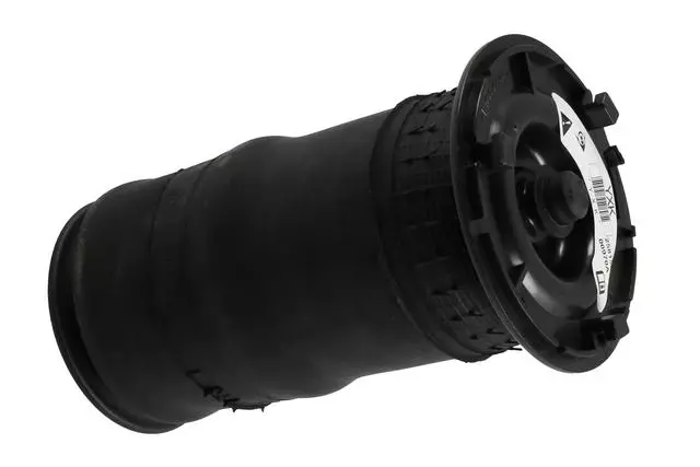 25815604 - Suspension: Coil Spring for Buick: Rainier | Chevrolet: Trailblazer, Trailblazer EXT | GMC: Envoy, Envoy XL, Envoy XUV | Oldsmobile: Bravada Image