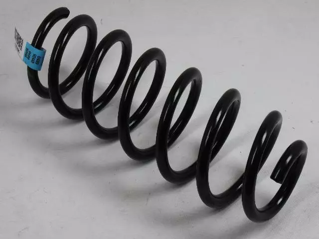 4895624AB - Suspension: Spring for Chrysler: 300 | Dodge: Charger, Magnum Image