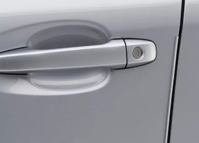 SOA801P001Q1 - : Door Edge Guard Kit - Sepia Bronze for Subaru Image