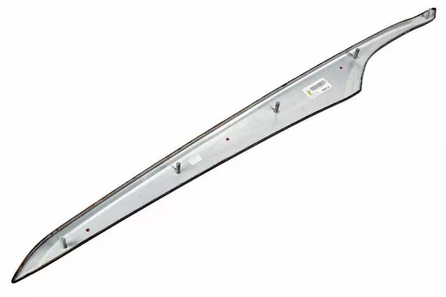 20850715 - Body: Door Trim Molding for Cadillac: CTS Image