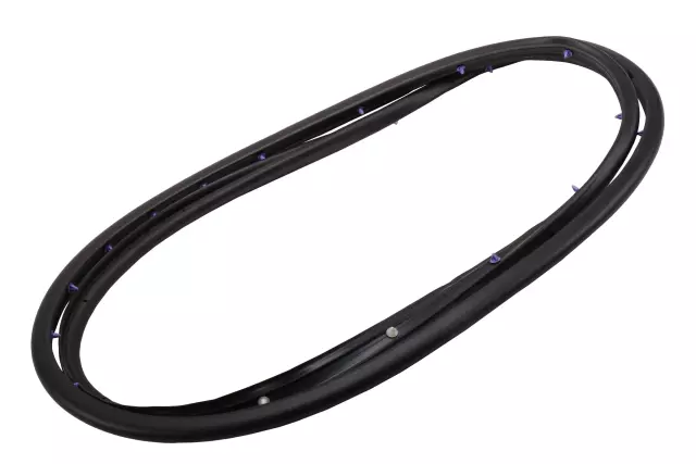 84270781 - Body: Door Weather-strip for GM Image