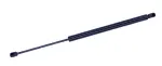 611707 - : Liftgate Lift Support for Tuff Support Image