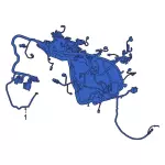 KU5Z12A581U - : Engine Harness for Ford: Bronco Sport, Escape, Maverick | Lincoln: Corsair Image
