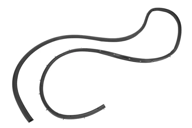 Door Weather-Strip - GM (39203333)