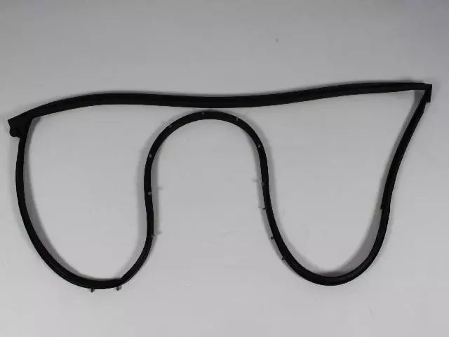 OEM NEW 11-20 Mopar 300 Passenger Sd Front Door Mounted Weatherstrip 68039974AH - Mopar (68039974AH)