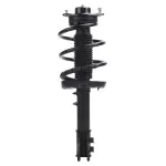 920176 - : PRT 920176 Suspension Strut and Coil Spring Assembly for PRT PERFORMANCE RIDE Image