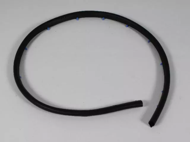 Front Door Seal, Right - Mopar (55394042AE)