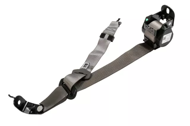 19368063 - Electrical: Outer Belt Assembly for GM Image