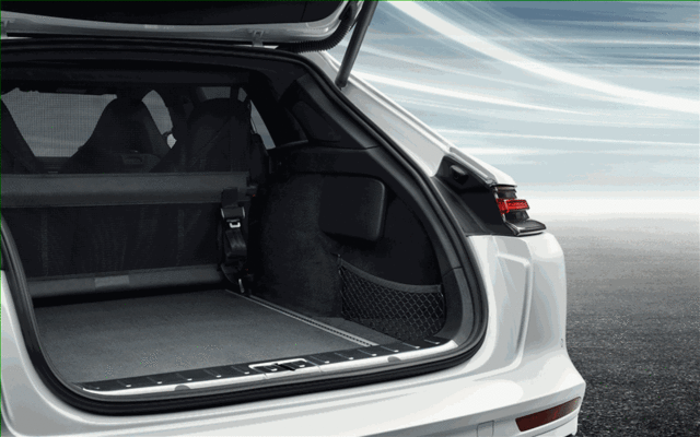 974861691AAY1 - Body: Luggage Compartment Partition Net for Porsche: Panamera Image