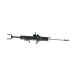E6C10CD02PNW - Suspension: Value Advantageâ„¢ ABSORBER KIT SHOCK FRONT RH for Nissan Image