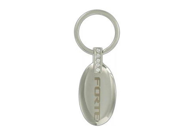 UE090AY709 - Keychain: Key Chain - Oval Shape With 4 Clear Crystals for Kia: Amanti, Borrego, Forte, Forte Koup, Forte5, K5, Optima, Rio, Rondo, Sedona, Sorento, Soul, Spectra, Sportage Image