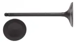 IM3100 - : Engine Intake Valve for Enginetech Image