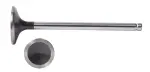 V3433 - : Engine Exhaust Valve for Enginetech Image