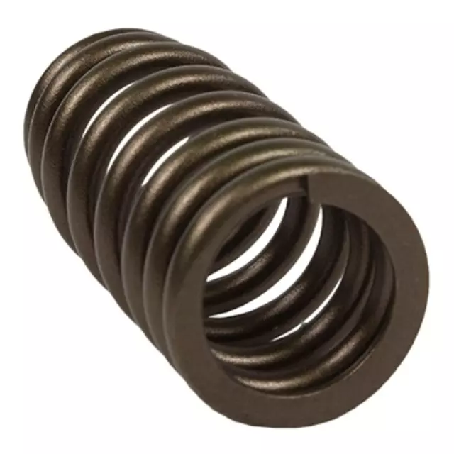 Valve Springs - Ford (ET4Z-6513-B)