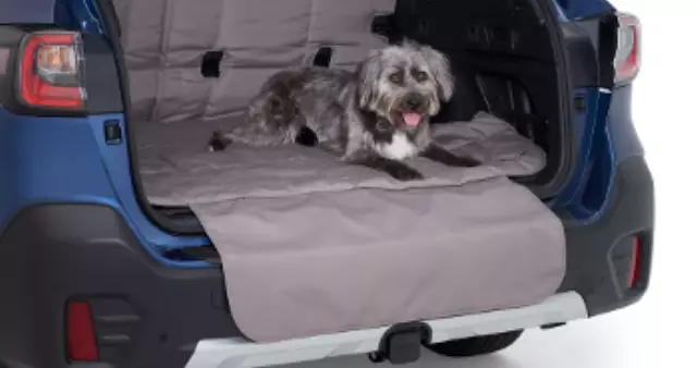 J501SFN270 - : Pet-Friendly Padded Cargo Liner for Subaru Image