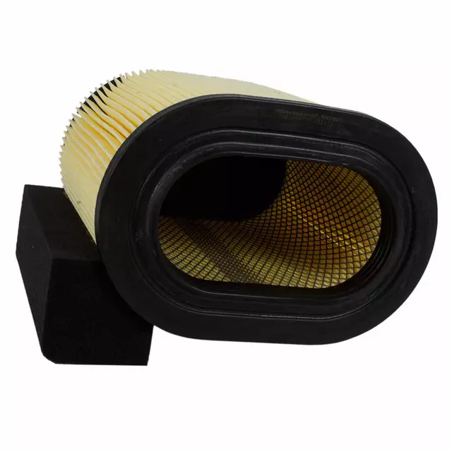 Air Filter - Ford (HC3Z-9601-A)