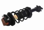 882435 - : 00-01 Nissan Altima Suspension Strut and Coil Spring Assembly  - Rear Right for GSP Image