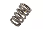 12565763 - : Engine Valve Spring for ACDelco Image