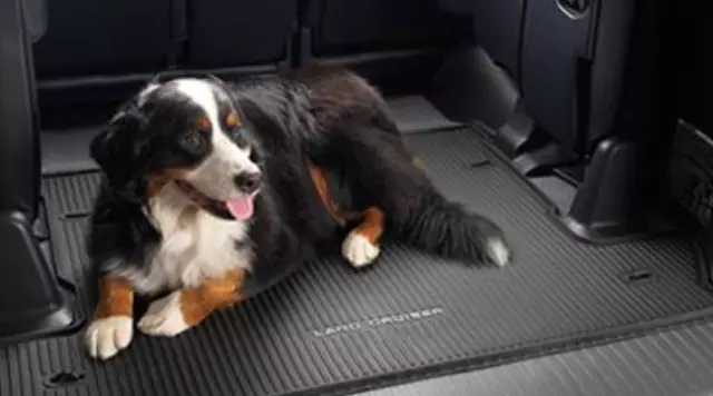 Cargo Mat, All Weather - Toyota (PT908-60087-02)