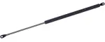 610957 - : Liftgate Lift Support for Tuff Support Image
