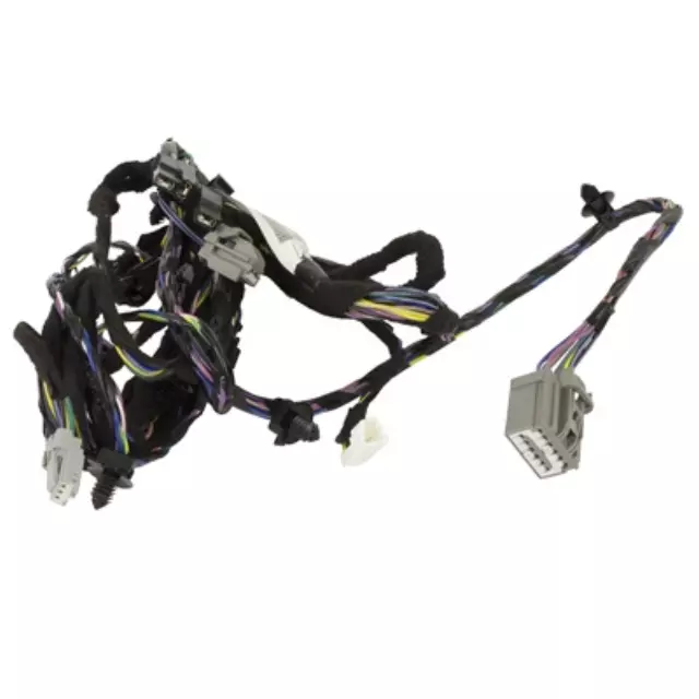 Wire Assembly - Ford (H2BZ-14335-AG)