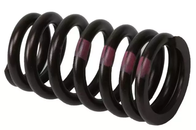 55571551 - : Engine Valve Spring for ACDelco Image