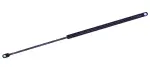 610769 - : Liftgate Lift Support for Tuff Support Image