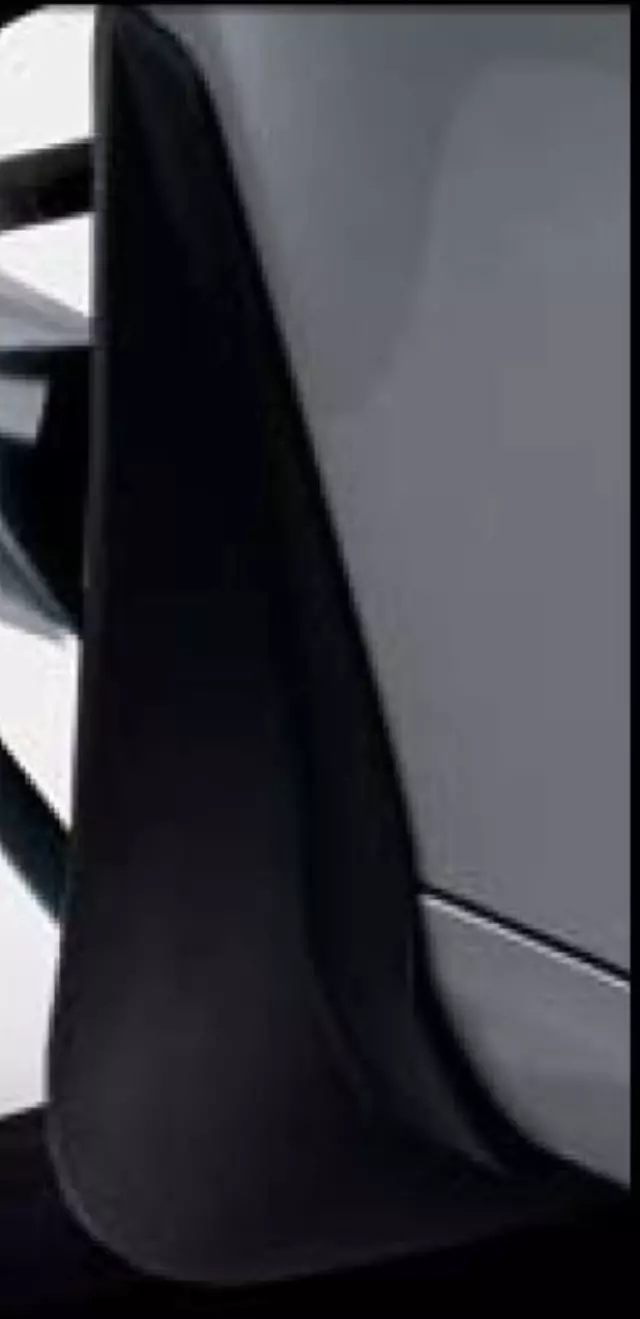 66528226 - Exterior: Mud Flaps - Rear for Mercedes-Benz: CLS500, CLS55 AMG, CLS550, CLS63 AMG Image