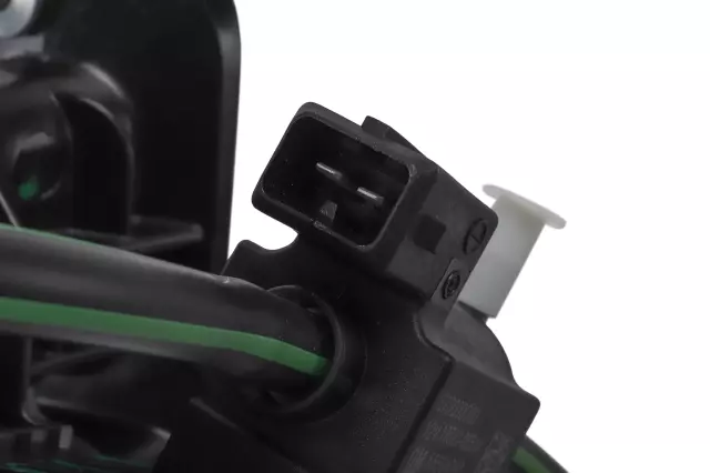 25197573 - : F (S)Manifold for GM Image