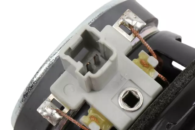 Radio Speaker - GM (84019237)