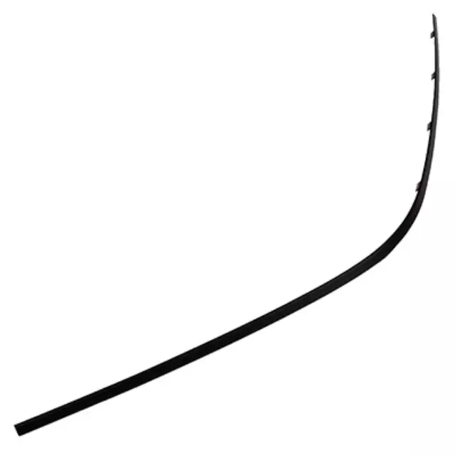 Side Molding - Ford (4L3Z-1503137-AA)