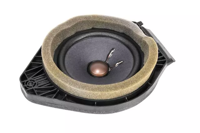 Rear Side Door Speaker - GM (84195666)