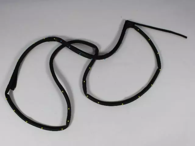 Rear Door Opening Weatherstrip, Right - Mopar (55399186AG)