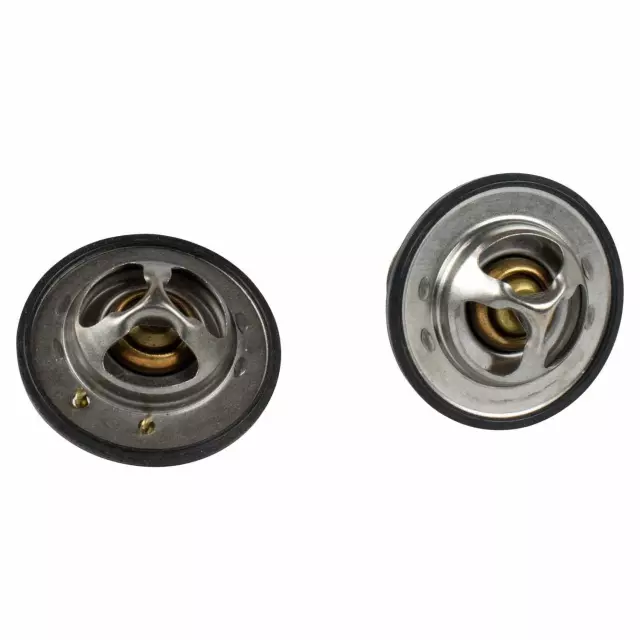 Thermostat Assembly - Ford (QRT-2)