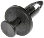 700579 - : Rivet-Push In-Hole Diameter .250 In. for Dorman Image