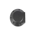 55156514AC - Wiper/Lock Cylinder and Keys: Wiper Arm Nut Cap for Mopar Image