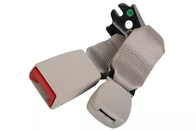 Buckle - GM (84903706)