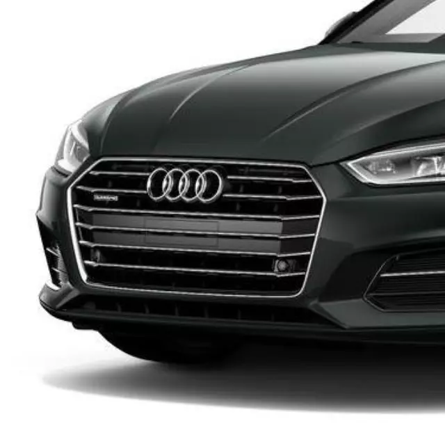 Front Plate Filler Kit- A5 Coupe - Audi (8W6-807-287-B-RP5)