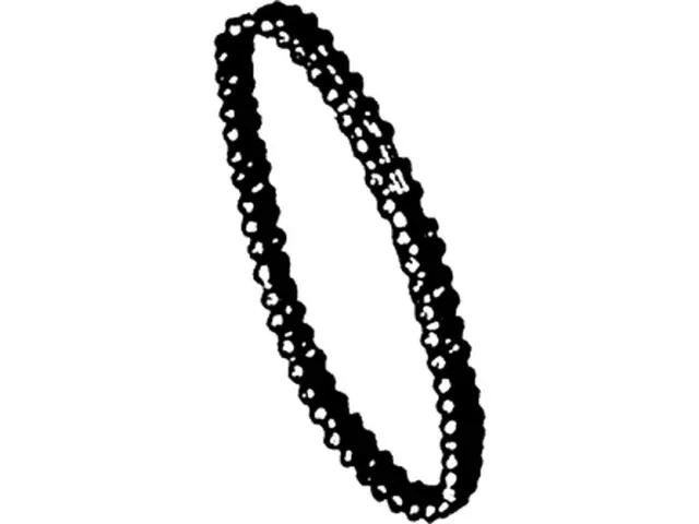 E7TZ6268A - Engine: Engine Timing Chain for Ford: Bronco, E-150 Econoline, E-150 Econoline Club Wagon, E-250 Econoline, E-350 Econoline, E-350 Econoline Club Wagon, Econoline Super Duty, Explorer, F-150, F-250, F-250 HD, F-350, Mustang | Mercury: Mountaineer Image