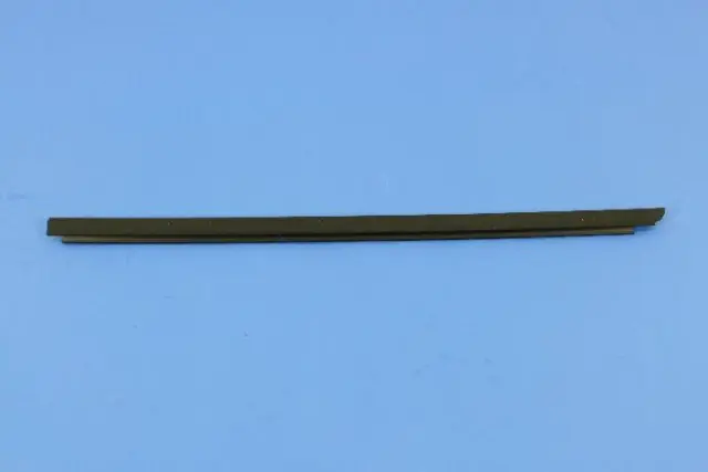 Door Belt Outer Weatherstrip, Left - Mopar (55395269AD)